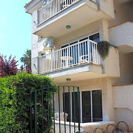 Massol 2*