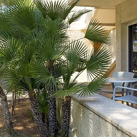 Hotel Massol 2*
